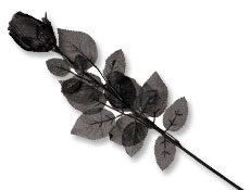 24 inch Black Fabric Rose