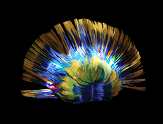 Light-Up Mohawk - Black  Blue  and Yellow