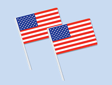 4 inchx 6 inch American Flags