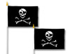 Pirate Flag 4 inchX 6 inch