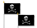 Pirate Flag 4 inchX 6 inch