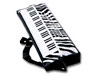 Inflatable 24 inch Keyboard on a Strap