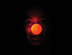 Light-Up Flashing Red Nose