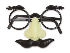 Funny Face Disguise Glasses