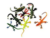 3 inch Painted Lizards-Assorted